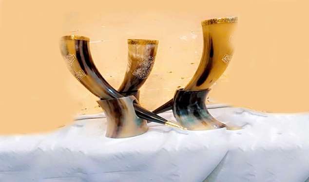 Buffalo Horn Flower Vase