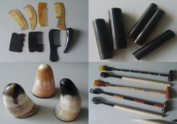 Buffalo Horn Accessories